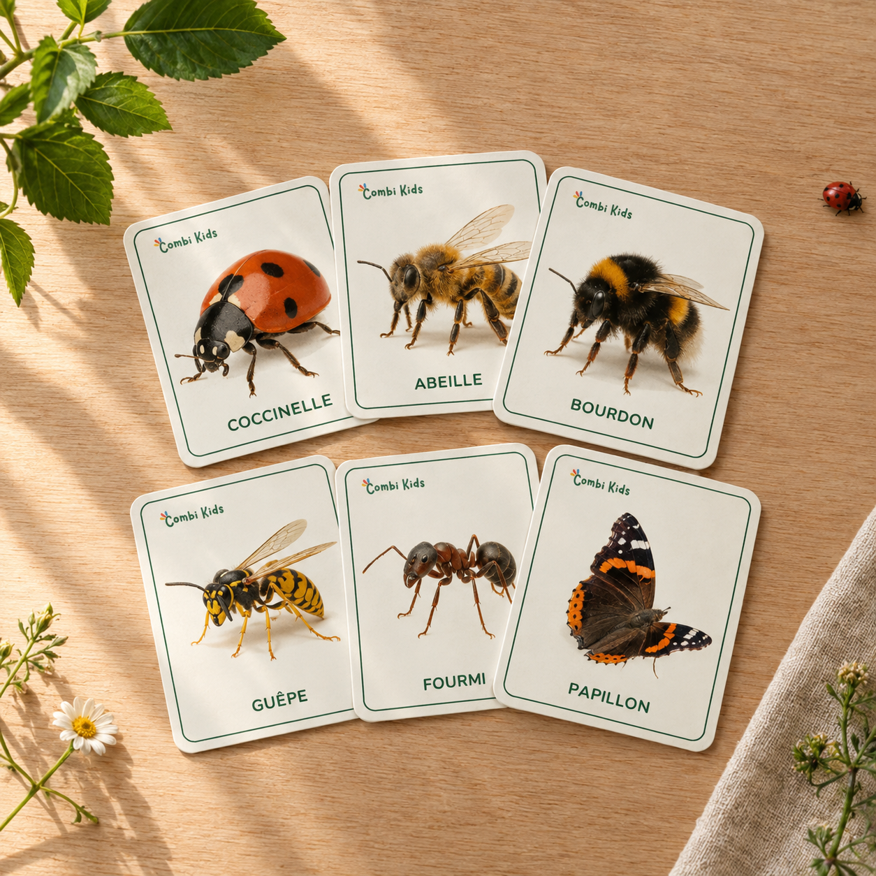 Les insectes et animaux du jardin : 3 activités Montessori + cartes à imprimer